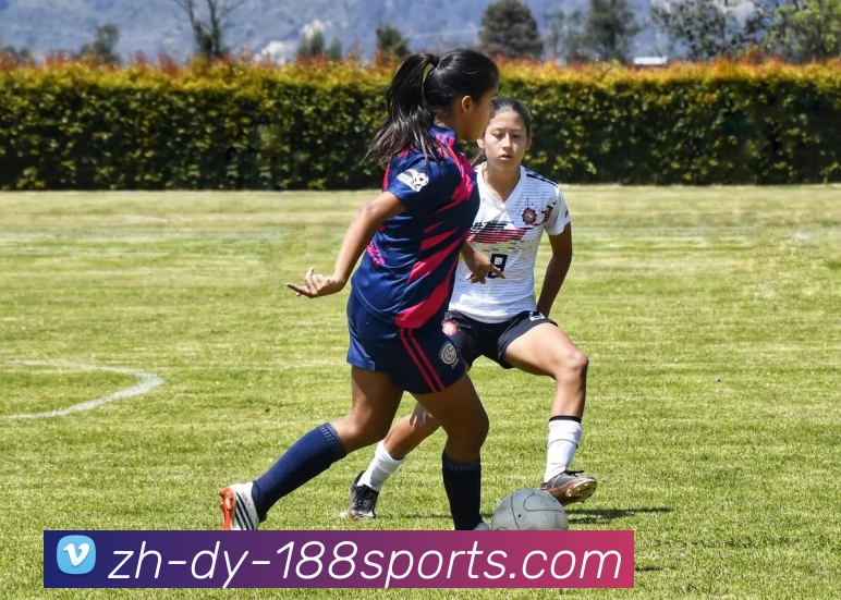 188体育官网平台生态图