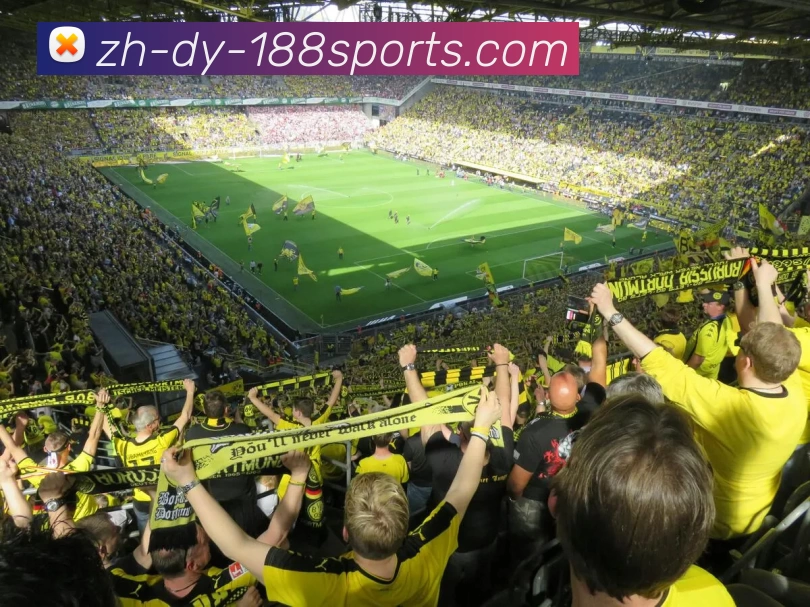 数据防护可视化